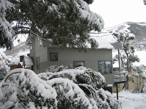 Magpies Nest - Accommodation Adelaide 0