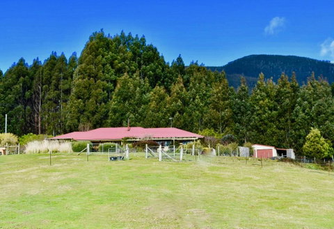 Maydena Mountain Cabins - Accommodation Adelaide 2