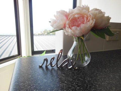 Modern Hobart Apartment With Stunning Views - Accommodation Adelaide 0