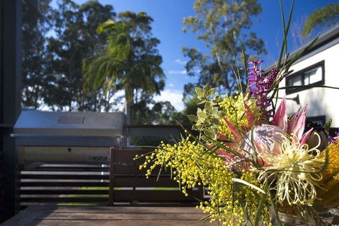 Mollymook Caravan Park - Accommodation Adelaide 2
