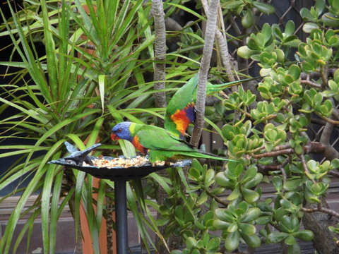 Nanango Fitzroy Motel - Accommodation Adelaide 2