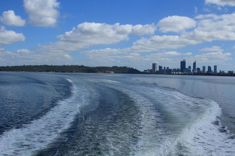 Midgard Cottage - Great Location & Close To Airport - Accommodation Adelaide 33