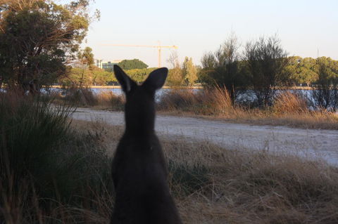 Midgard Cottage - Great Location & Close To Airport - Accommodation Adelaide 37