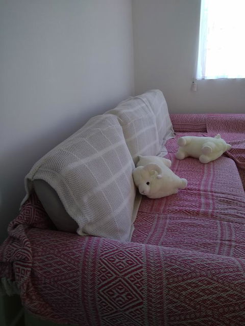 DIANELLA Budget Rooms Happy Place To Stay - Accommodation Adelaide 29