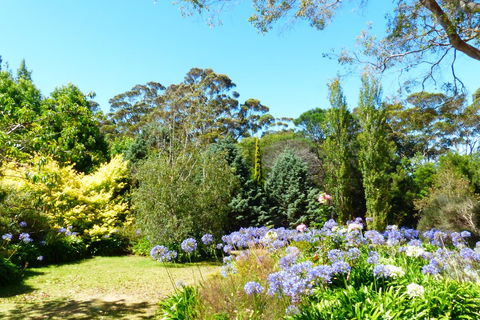Innisfree Mountain Retreat - Accommodation Adelaide 1