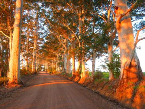 Innisfree Mountain Retreat - Accommodation Adelaide 10