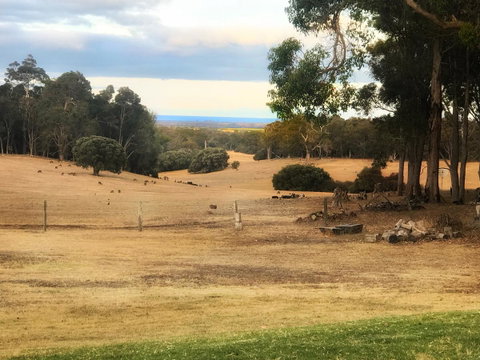 For The Birds Yallingup - Accommodation Adelaide 28