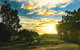 For The Birds Yallingup - thumb 23