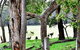 For The Birds Yallingup - thumb 22