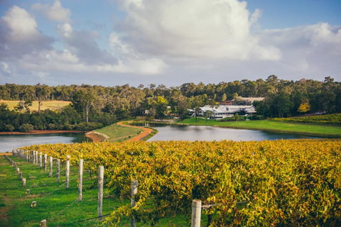 For The Birds Yallingup - Accommodation Adelaide 32