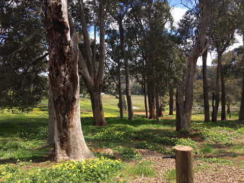 Tegwan's Nest Holiday Home - Accommodation Adelaide 28