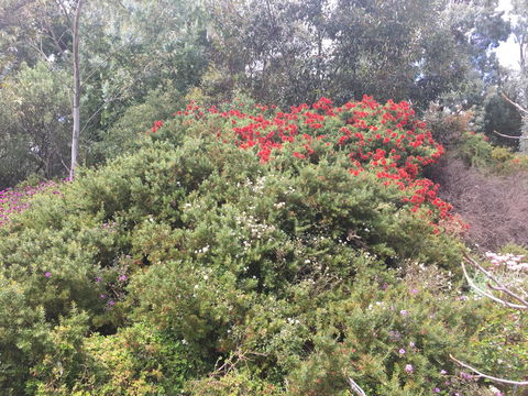 Tegwan's Nest Holiday Home - Accommodation Adelaide 42