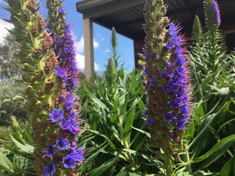 Tegwan's Nest Holiday Home - Accommodation Adelaide 41