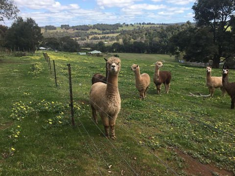 Tegwan's Nest Holiday Home - Accommodation Adelaide 44