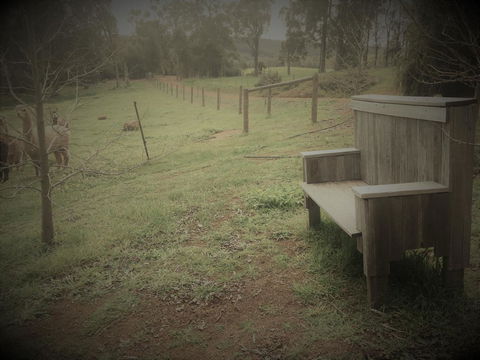 Tegwan's Nest Holiday Home - Accommodation Adelaide 43