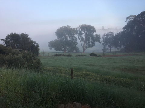 Tegwan's Nest Holiday Home - Accommodation Adelaide 29