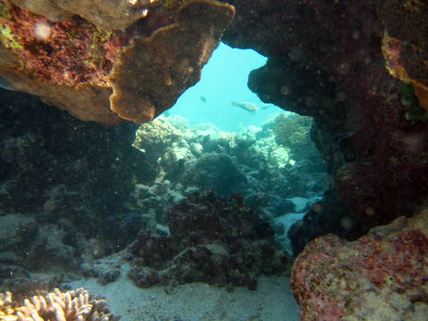 Ningaloo Coral Bay â€“ Bayview - Accommodation Adelaide 4