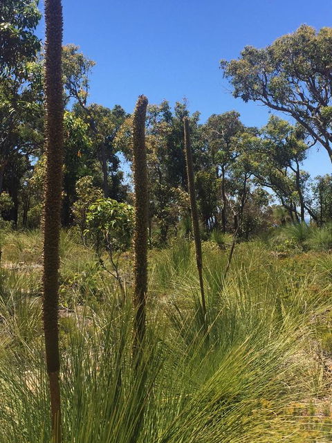 Eagle Bay House - Accommodation Adelaide 15