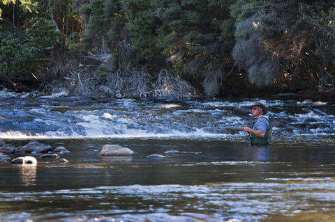 Tyenna River Cottages - Accommodation Adelaide 21