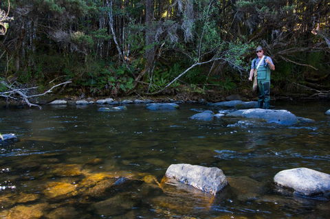 Tyenna River Cottages - Accommodation Adelaide 2