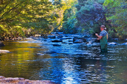 Tyenna River Cottages - Accommodation Adelaide 22