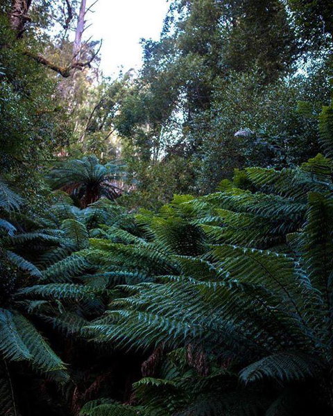 Maydena Chalet - Accommodation Adelaide 42