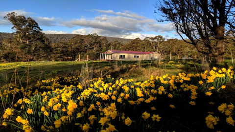 Mountain Blue Guest House - Accommodation Adelaide 3
