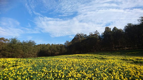 Mountain Blue Guest House - Accommodation Adelaide 21