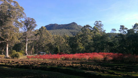 Mountain Blue Guest House - Accommodation Adelaide 23