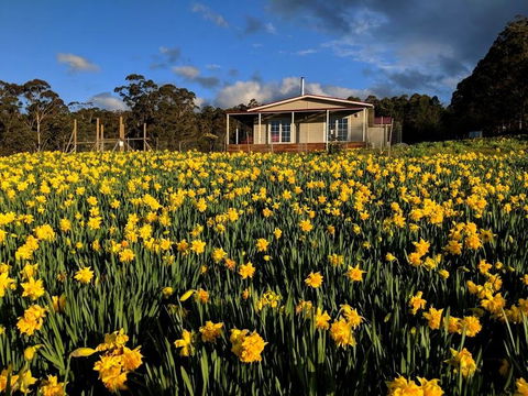 Mountain Blue Guest House - Accommodation Adelaide 0