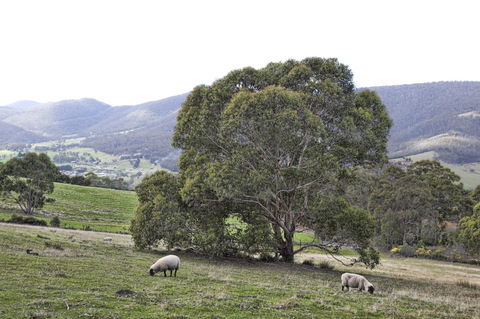 House On The Hill Bed And Breakfast - Accommodation Adelaide 15