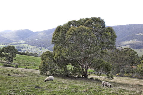 House On The Hill Bed And Breakfast - Accommodation Adelaide 16