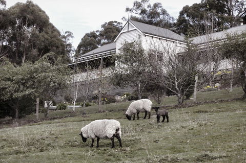 House On The Hill Bed And Breakfast - Accommodation Adelaide 19