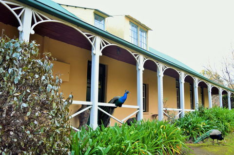 Cleburne Homestead - Accommodation Adelaide 29