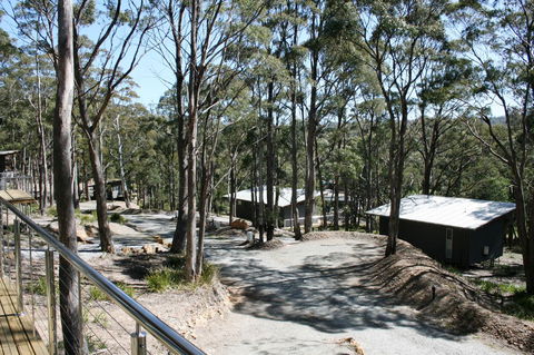 Craggy Peaks Wilderness Cabins - Accommodation Adelaide 22
