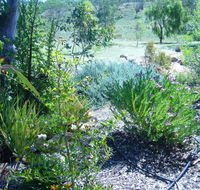 Old Miners' Cottages Bed and Breakfast - Accommodation Adelaide