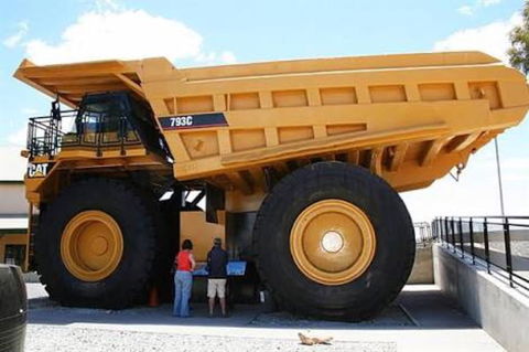 Paddys Golden Patch - Accommodation Adelaide 0