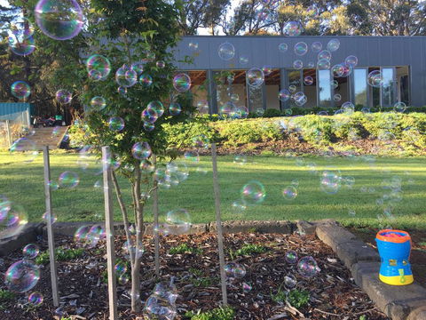 Paradiso Kinglake - Accommodation Adelaide 1