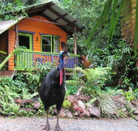 Rainforest Hideaway - Accommodation Adelaide