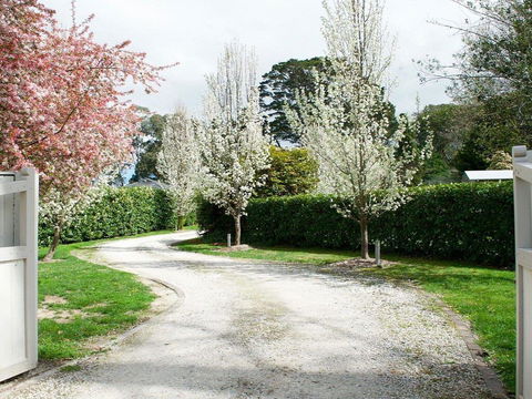 Robin Hill Manor - Rambling Retreat & Tennis Court - Accommodation Adelaide 0