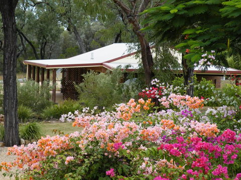 Rubyvale Motel & Holiday Units - Accommodation Adelaide 3