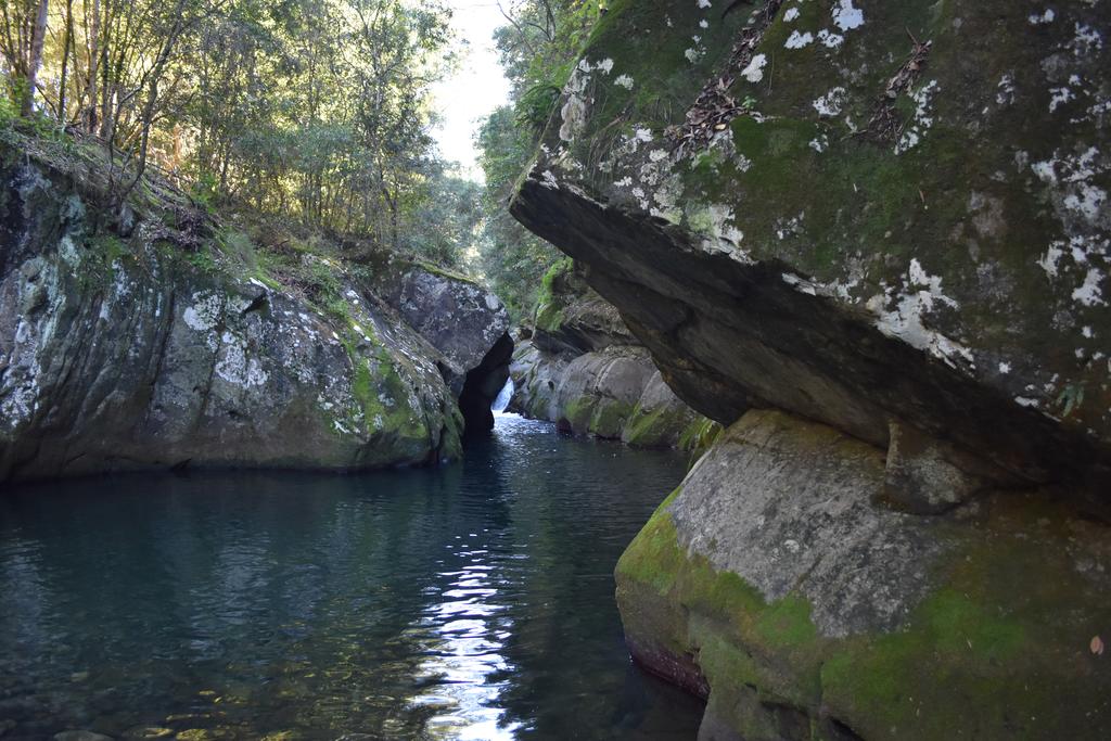 Salisbury NSW Accommodation Adelaide