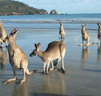 Seaforth Holiday Units - Accommodation Adelaide