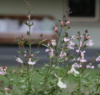 Serendipity on Allyn - Accommodation Adelaide