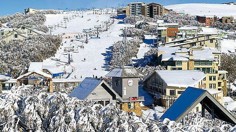 Snowflake 4 - Accommodation Adelaide 1