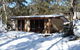 Snowy Wilderness - thumb 0