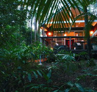 Songbirds Rainforest Retreat - Accommodation Adelaide