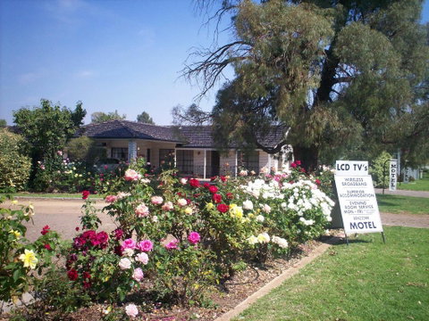 Southern Comfort Motor Inn - Accommodation Adelaide 1
