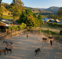 Spring Spur - Accommodation Adelaide