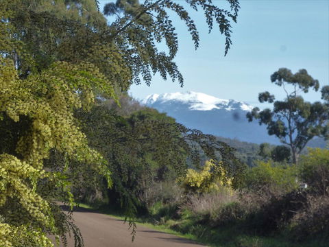 Southern Forest Accommodation - Accommodation Adelaide 24